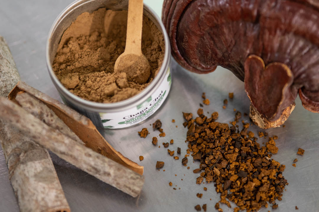 Chaga Chai: Coffee Consort