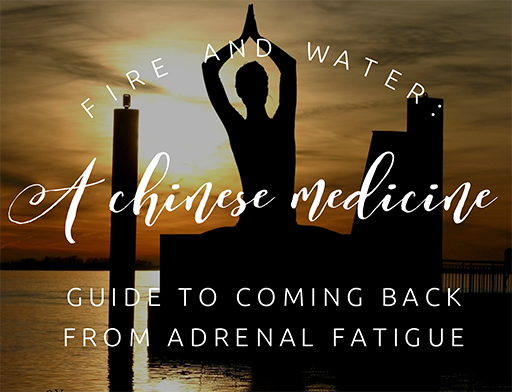 Fire and Water: A Chinese Medicine Guide to Understanding Adrenal Fatigue
